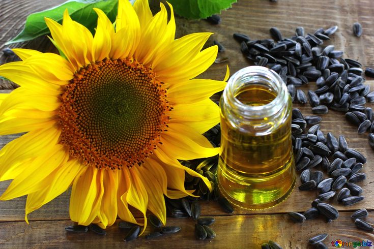 Global Market Trends & Demand Forecast for Iranian Sunflower Oil